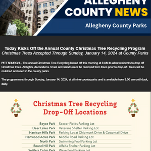 Christmas Tree Recycling Program