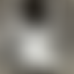 Historical Stieman Property