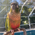 IMG_9076.jpeg