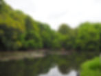 Yoyogi park 