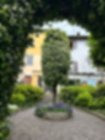 ree