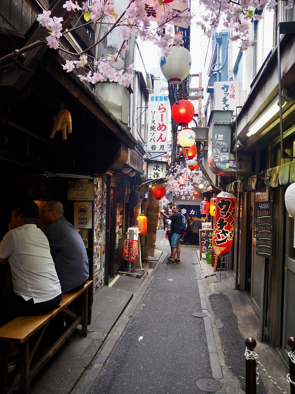 Omoide Yokocho - Shinjuku
