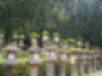 Nara Park