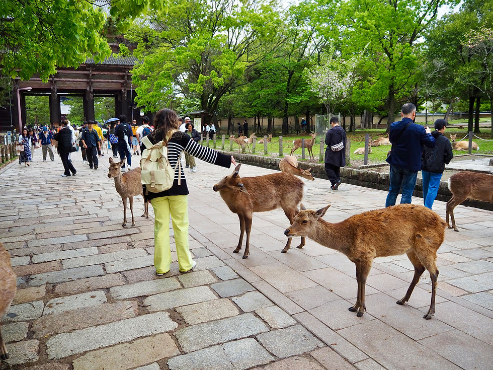 Nara Park