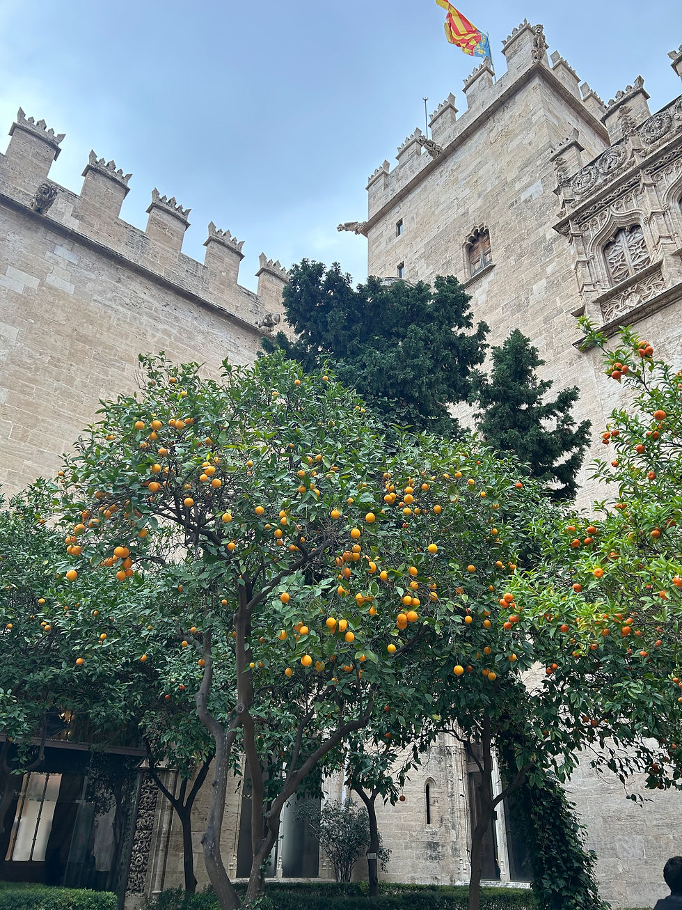 La Lonja de la Seda