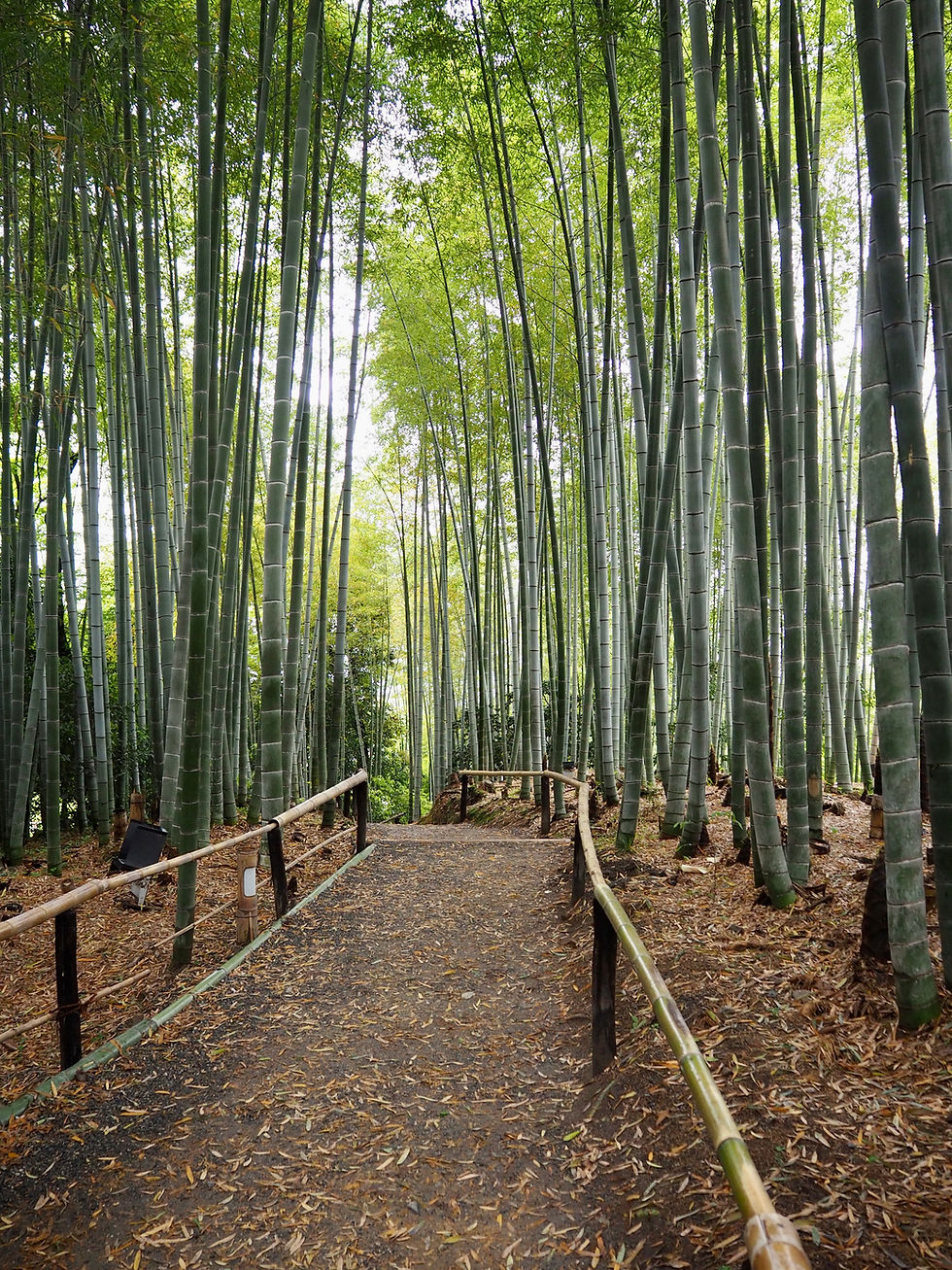Kōdaiji Temple