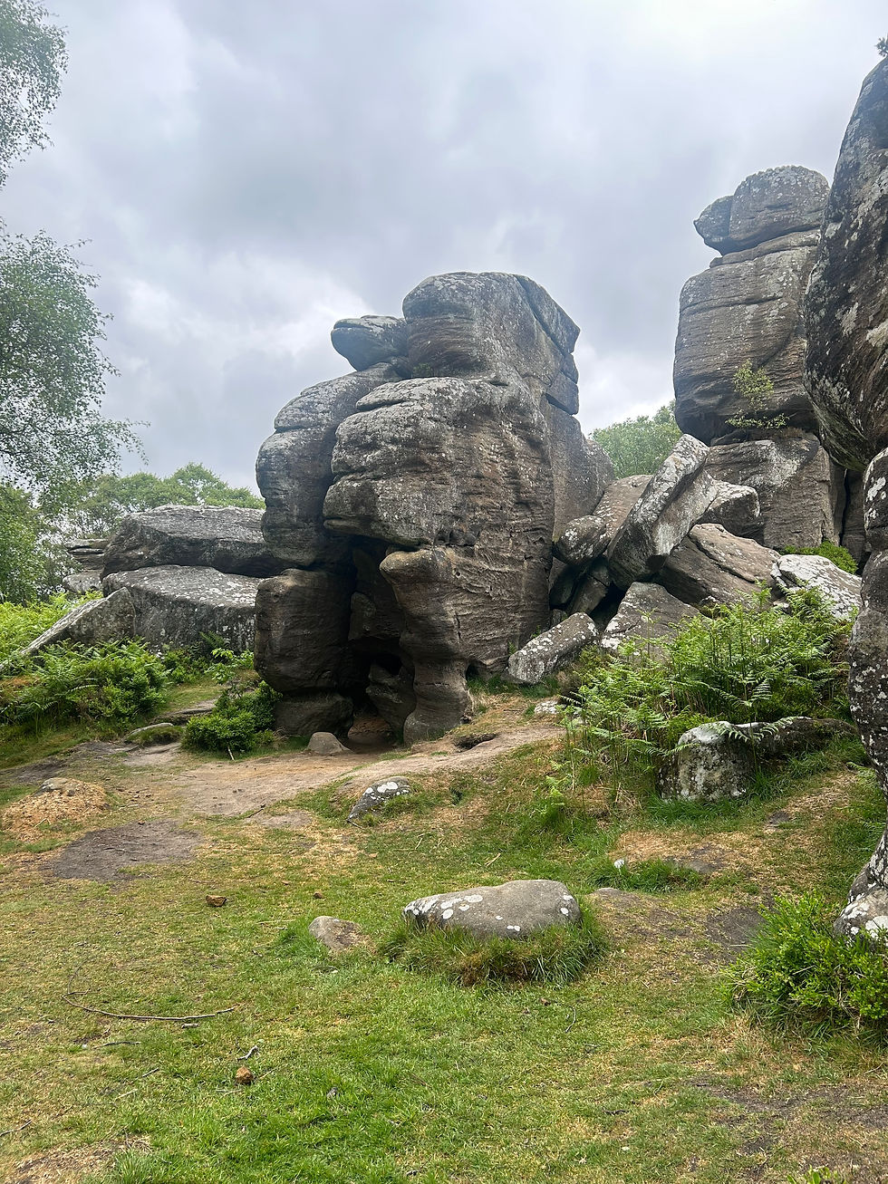 Brimham Rocks 