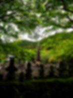  Adashino Nenbutsuji Temple