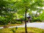 Kōdaiji Temple 