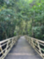 Manuel Antonio National Park