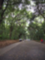 Yoyogi park 