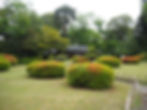 Yoyogi park 