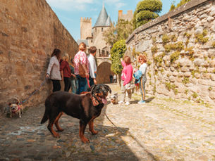 Carcassonne devient une destination dog-friendly pour des vacances inoubliables avec son chien !