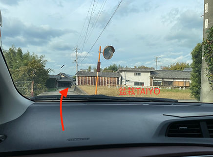 IMG_0982.jpeg