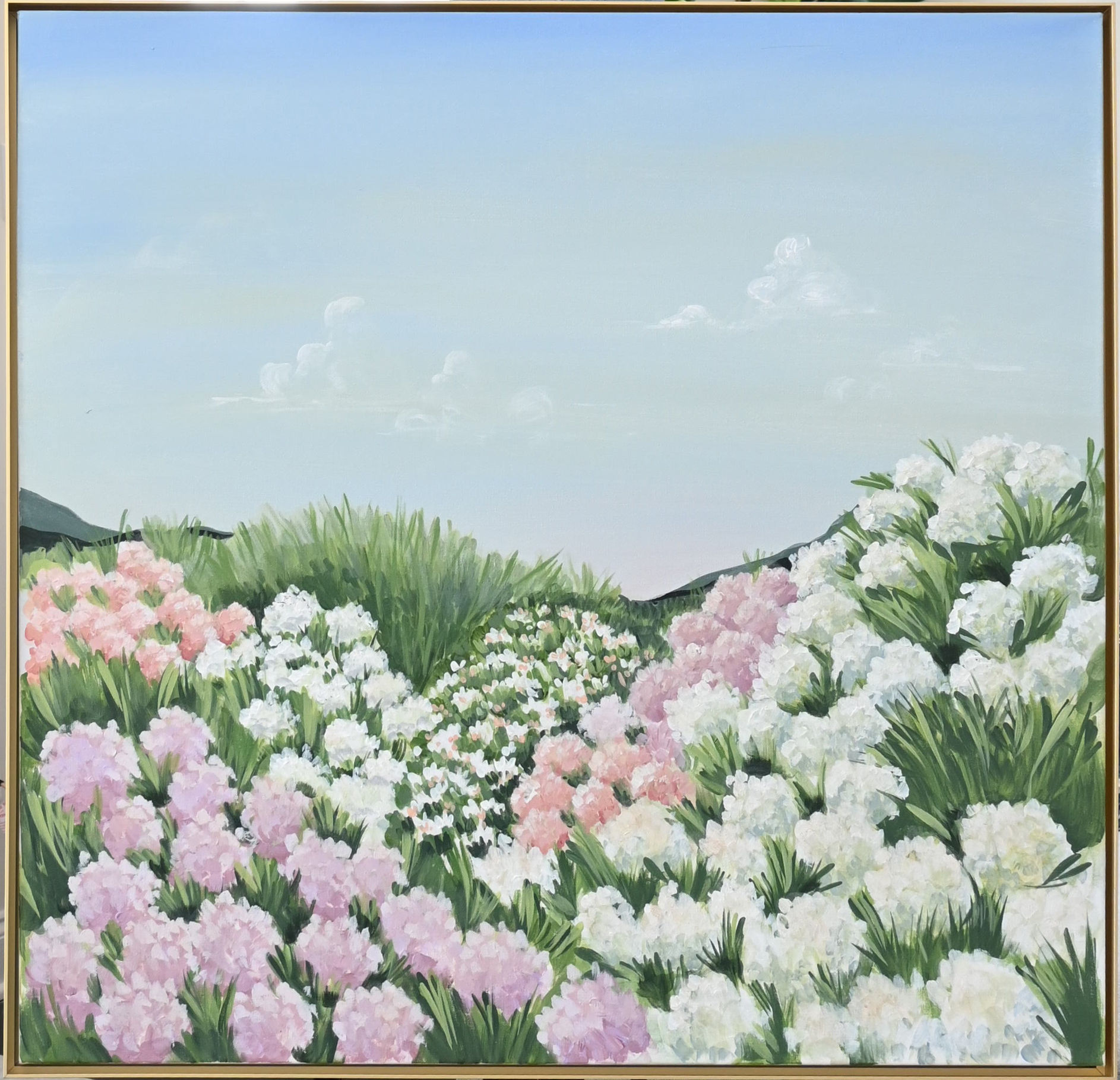 Field Of Blooms