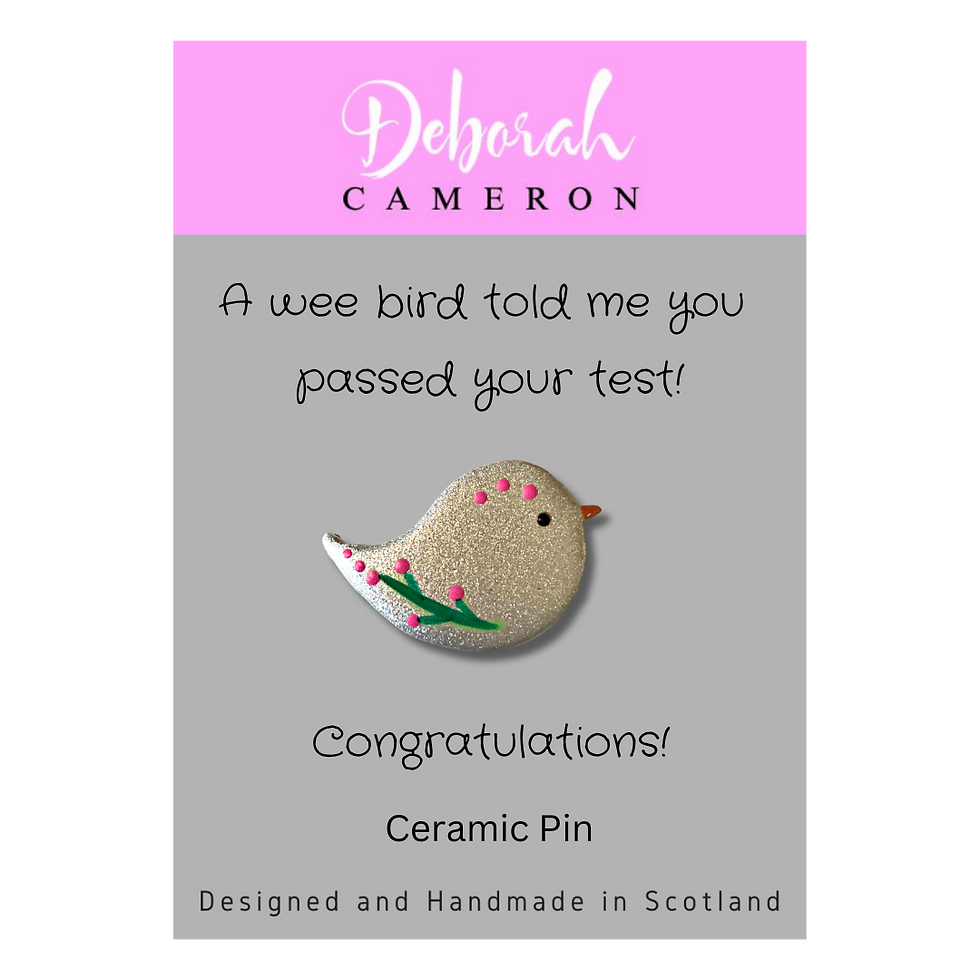 Wee Bird - Mini Pin - Passed Your Test, Congratulations!