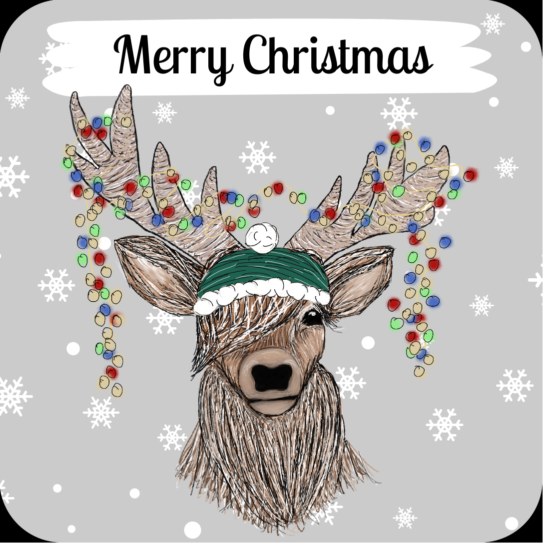 Festive Lights/Green Hat Stag - Christmas Coaster