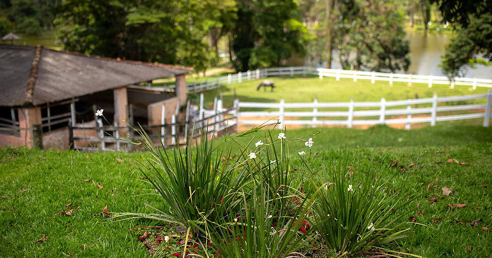 melhor hotel fazenda em Minas Gerais