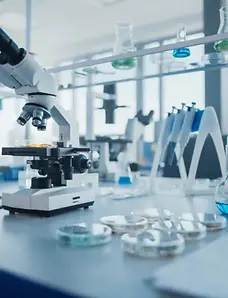 RR SEAFOOD is one of the leading seafood processor in Kolkata