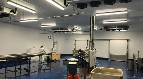 RR SEAFOOD is one of the leading seafood processor in Kolkata