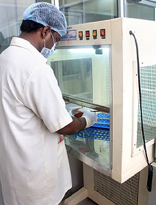 RR SEAFOOD is one of the leading seafood processor in Kolkata