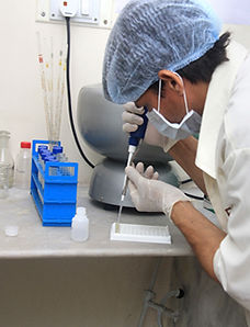 RR SEAFOOD is one of the leading seafood processor in Kolkata