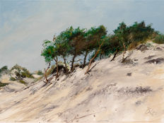 Bornholm Düne 2
Öl auf Leinwand  2020
30 x 40 cm
Preis auf Anfrage