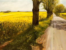 „Color of Joy“
Öl auf Leinwand 2023
50 x 70 cm
Preis auf Anfrage