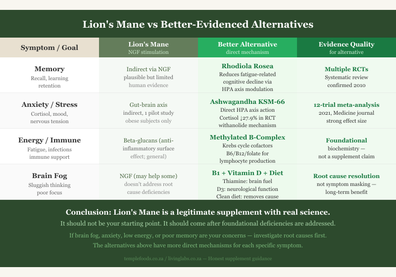 Lion's Mane vs Alternatives Comparison