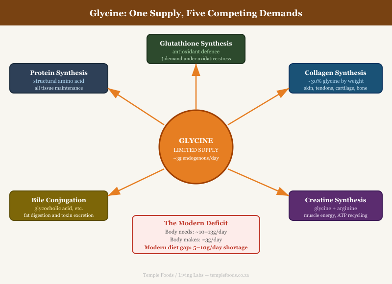 Glycine: A Limited Resource Under Competing Demands