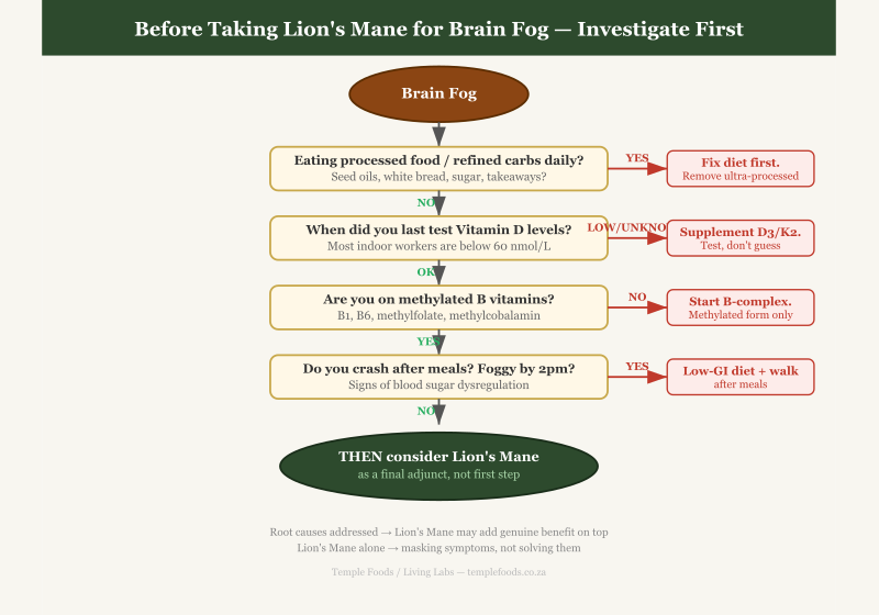 Brain Fog Root Cause Flowchart