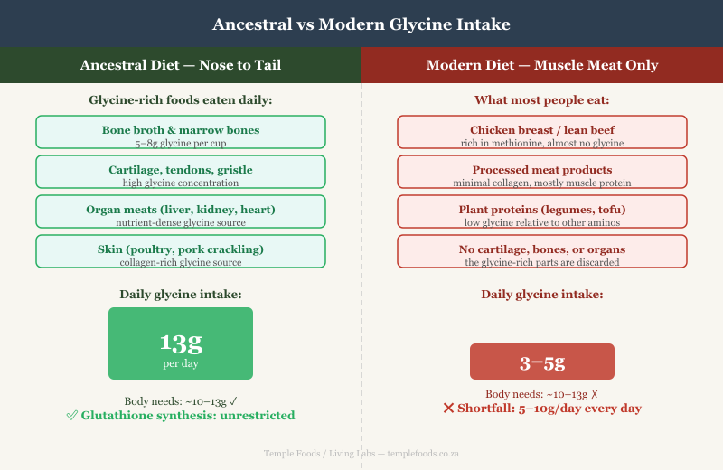 Ancestral vs Modern Glycine Intake