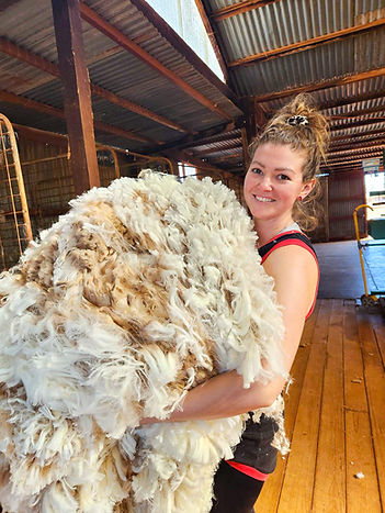 Ashlee Raymond holding a large merino fleece in shearing shed