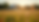 post-ai-image-7599.png