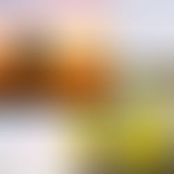 【出展】CP+2026 学生サークル写真展示 C-06 慶應義塾大学カメラクラブ