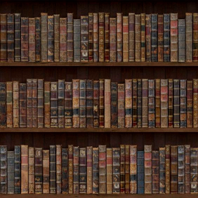 Literatura: Introdução