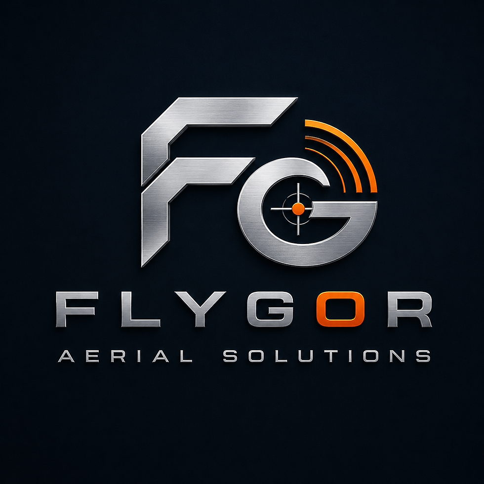 FlyGor Logo V3.png