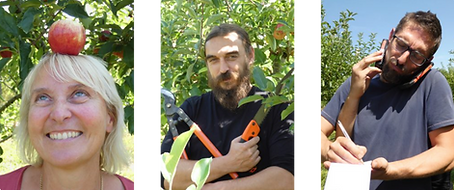 branche-a-fruit.png