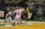 Game Winning Catch