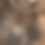 Thumbnail: Theraphosa apophysis (Pink footed Birdeater)