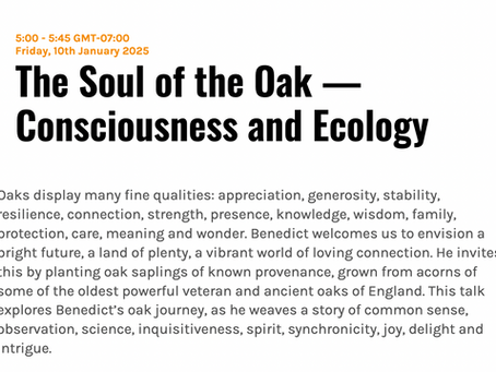 LECTURE: The Soul of the Oak — Consciousness and Ecology