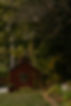 TheNest_UnderhillVT_PeteCurialle_9732.jpg