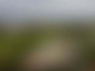 Alianzas que transforman: Impulsamos el Deporte en Club El Frontón