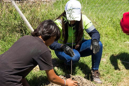 Iniciativas sociales.jpg