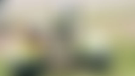 Geocycle Week 2025 y Voluntariado LATAM transforman Malagueño