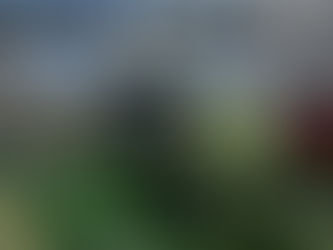 Farmingsimulator2011crackdownloadiso