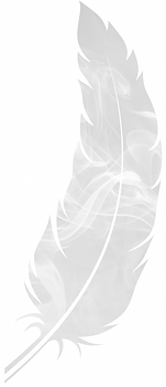 vecteezy_vector-feather-isolated-on-whit