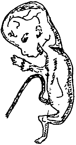 4 vv.gif