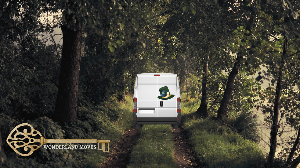 W o n d e r l a n d m o v e s (2).png