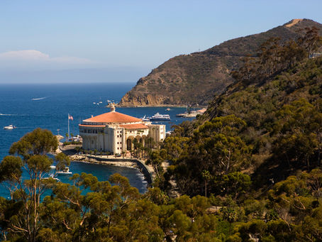 What You'll Learn On A Tour of Avalon